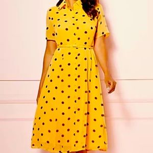 DOT PRINT PIA SHIRTDRESS - EVA MENDES FIESTA COLLECTION
